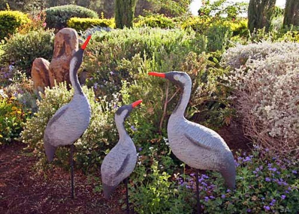 Musical Garden Cabins モシャヴ・ラマト 部屋 写真