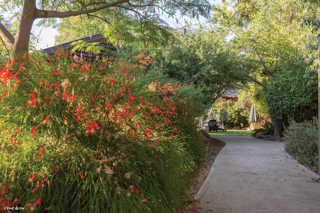 Musical Garden Cabins モシャヴ・ラマト エクステリア 写真